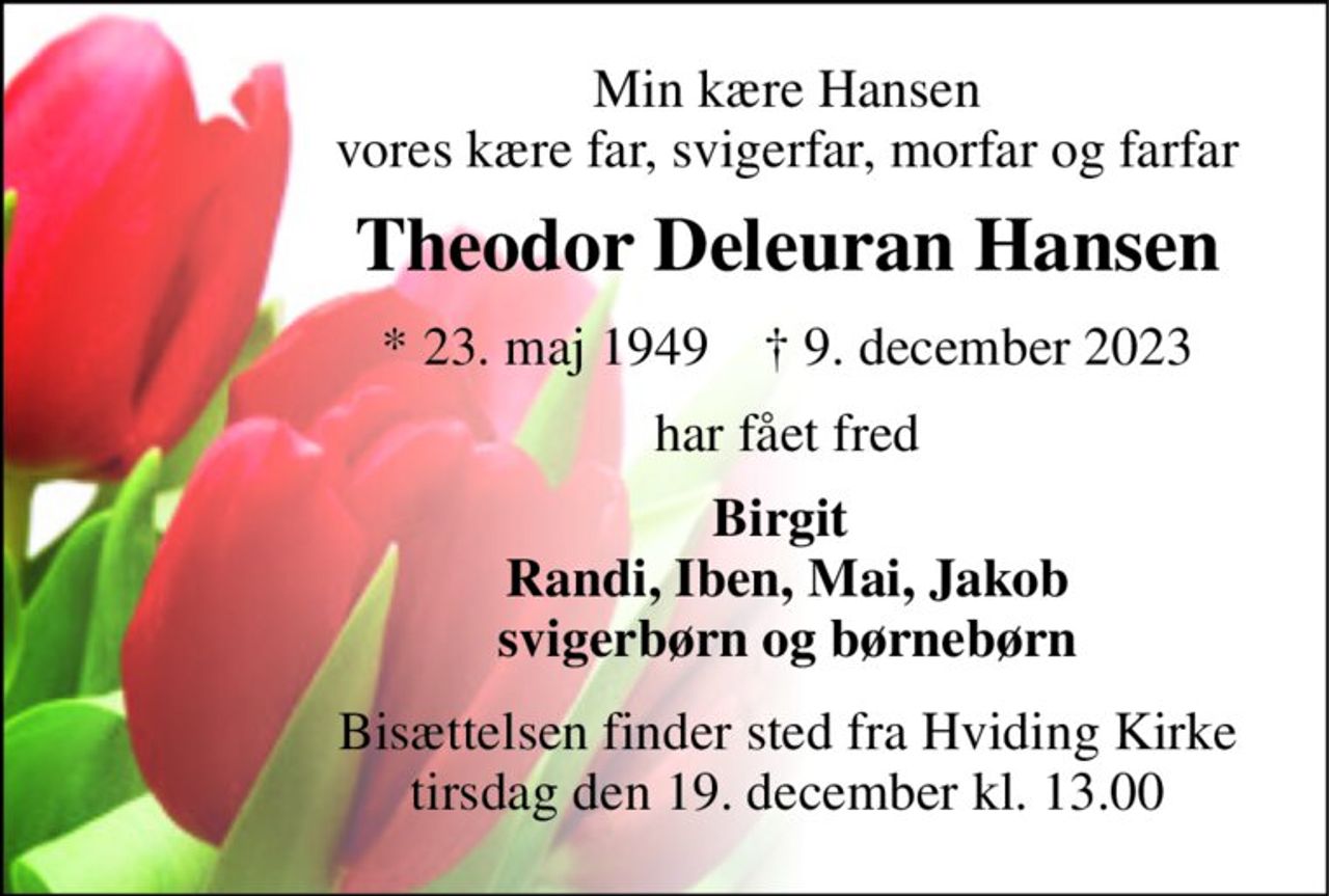 Min kære Hansen vores kære far, svigerfar, morfar og farfar 
Theodor Deleuran Hansen 
*​ 23. maj 1949​    †​ 9. december 2023 
har fået fred 
Birgit  Randi, Iben, Mai, Jakob svigerbørn og børnebørn 
Bisættelsen​ finder sted fra Hviding Kirke​ tirsdag den 19. december​ kl. 13.00
