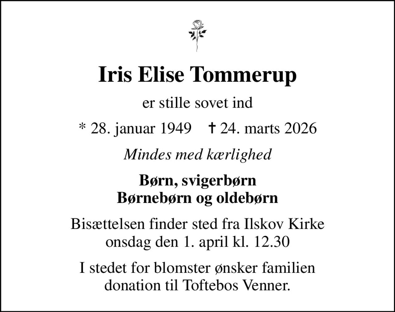 Iris Elise Tommerup
* 28. januar 1949    ✝ 24. marts 2026
Mindes med kærlighed
Børn, svigerbørn Børnebørn og oldebørn
Bisættelsen finder sted fra Ilskov Kirke onsdag den 1. april kl. 12.30
I stedet for blomster ønsker familien donation til Toftebos Venner.