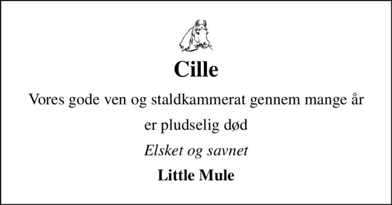 Cille 
Vores gode ven og staldkammerat gennem mange år 
er pludselig død 
Elsket og savnet 
Little Mule