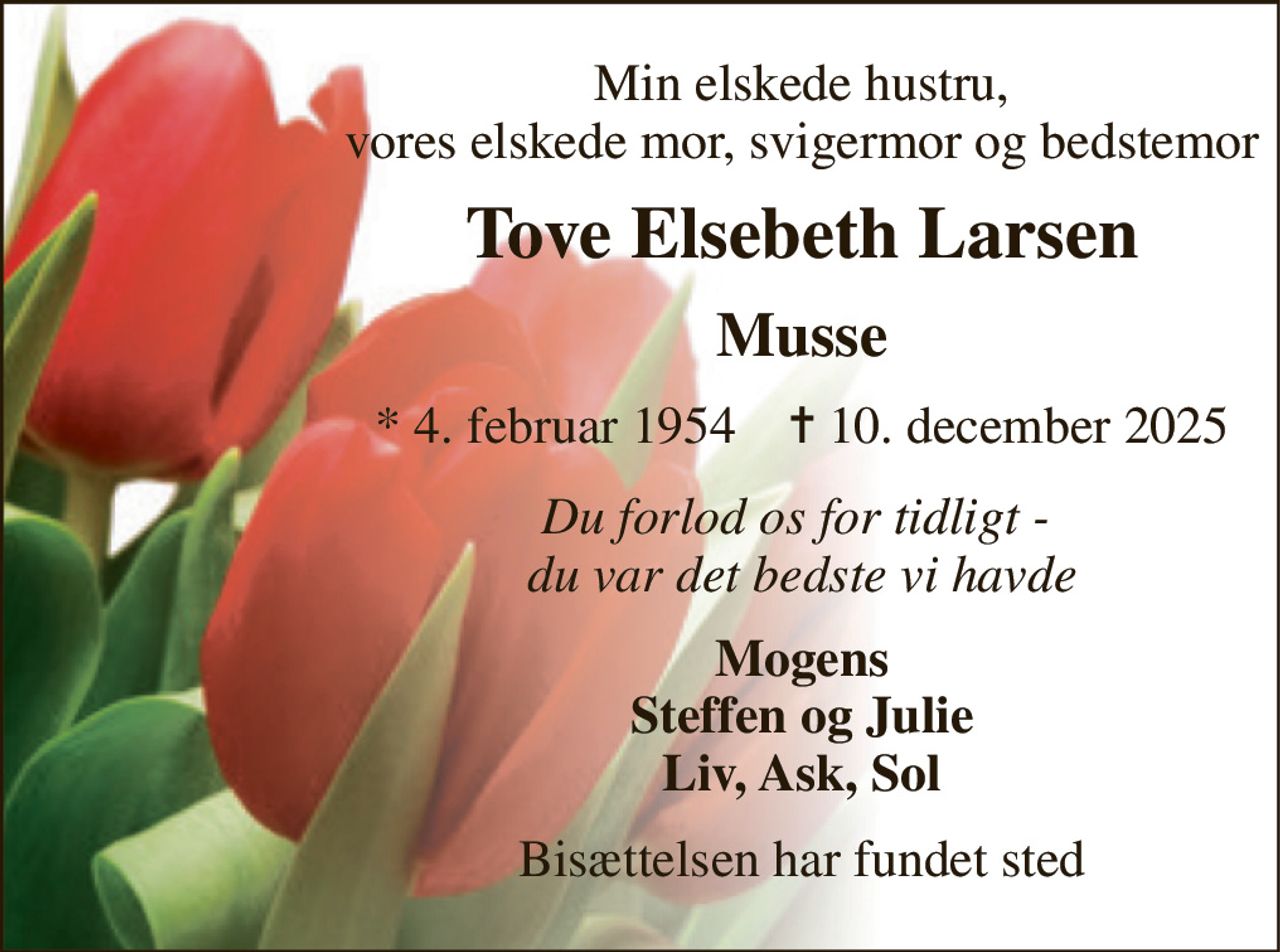 Min elskede hustru, vores elskede mor, svigermor og bedstemor 
Tove Elsebeth Larsen 
Musse 
* 4. februar 1954    ✝ 10. december 2025 
Du forlod os for tidligt -  du var det bedste vi havde 
Mogens Steffen og Julie Liv, Ask, Sol 
Bisættelsen har fundet sted