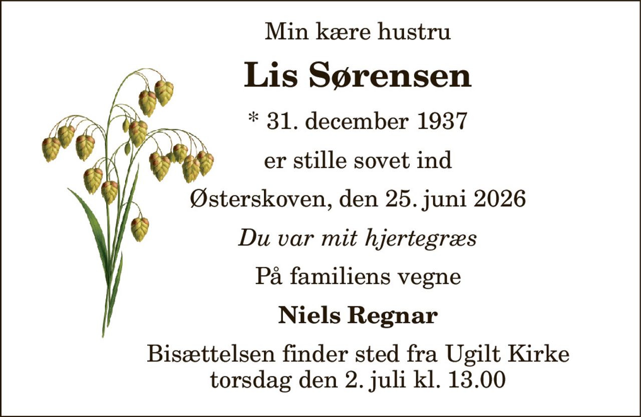 Min kære hustru 
Lis Sørensen 
*​ 31. december 1937 
er stille sovet ind 
Østerskoven, den 25. juni 2026 
Du var mit hjertegræs 
På familiens vegne 
Niels Regnar 
Bisættelsen​ finder sted fra Ugilt Kirke​ torsdag den 2. juli​ kl. 13.00