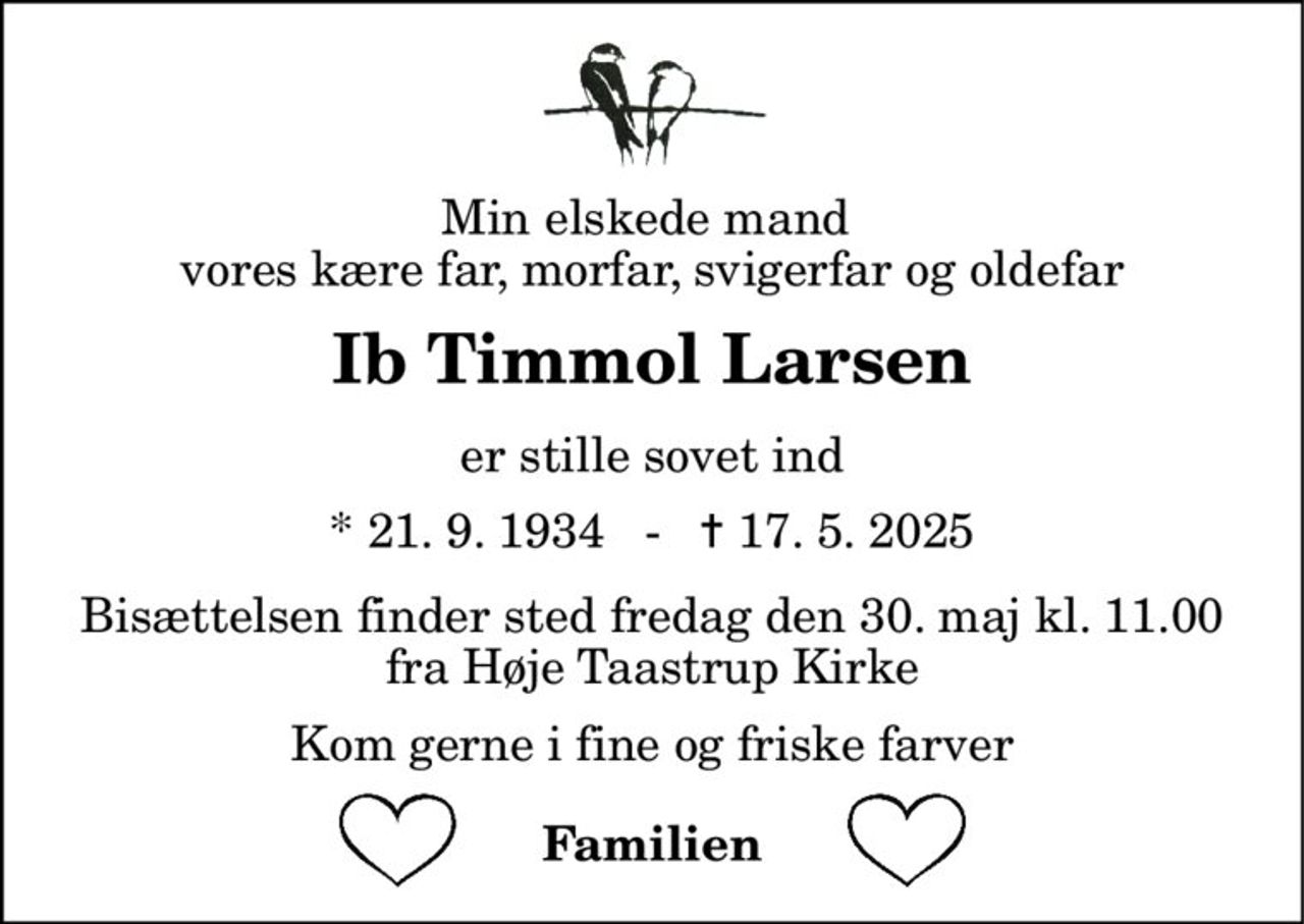 Min elskede mand  vores kære far, morfar, svigerfar og oldefar 
Ib Timmol Larsen 
er stille sovet ind 
*​ 21. 9. 1934​   -   ✝​ 17. 5. 2025 
Bisættelsen finder sted fredag den 30. maj kl. 11.00 fra Høje Taastrup Kirke 
Kom gerne i fine og friske farver 
Familien