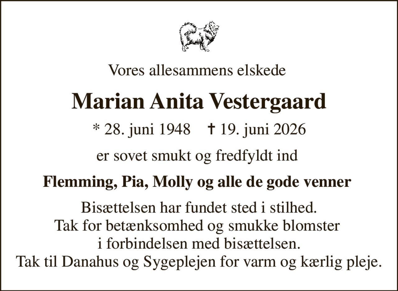 Vores allesammens elskede 
Marian Anita Vestergaard
* 28. juni 1948    ✝ 19. juni 2026
er sovet smukt og fredfyldt ind 
Flemming, Pia, Molly og alle de gode venner 
Bisættelsen har fundet sted i stilhed. Tak for betænksomhed og smukke blomster  i forbindelsen med bisættelsen. Tak til Danahus og Sygeplejen for varm og kærlig pleje.
