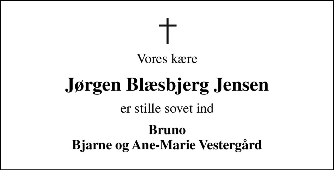 Vores kære
Jørgen Blæsbjerg Jensen
er stille sovet ind
Bruno Bjarne og Ane-Marie Vestergård