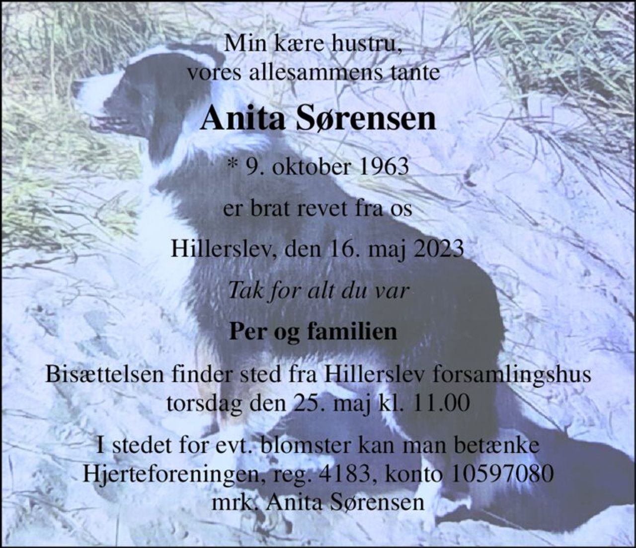 Min kære hustru, vores allesammens tante 
Anita Sørensen 
*​ 9. oktober 1963 
er brat revet fra os 
Hillerslev, den 16. maj 2023 
Tak for alt du var 
Per og familien 
Bisættelsen​ finder sted fra Hillerslev forsamlingshus torsdag den 25. maj​ kl. 11.00 
I stedet for evt. blomster kan man betænke Hjerteforeningen, reg. 4183, konto 10597080 mrk. Anita Sørensen