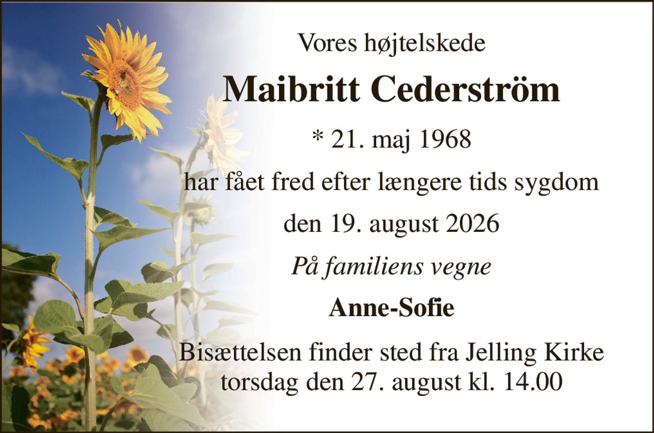 Vores højtelskede 
Maibritt Cederström 
*​ 21. maj 1968 
har fået fred efter længere tids sygdom 
den 19. august 2026 
På familiens vegne 
Anne-Sofie 
Bisættelsen​ finder sted fra Jelling Kirke​ torsdag den 27. august​ kl. 14.00