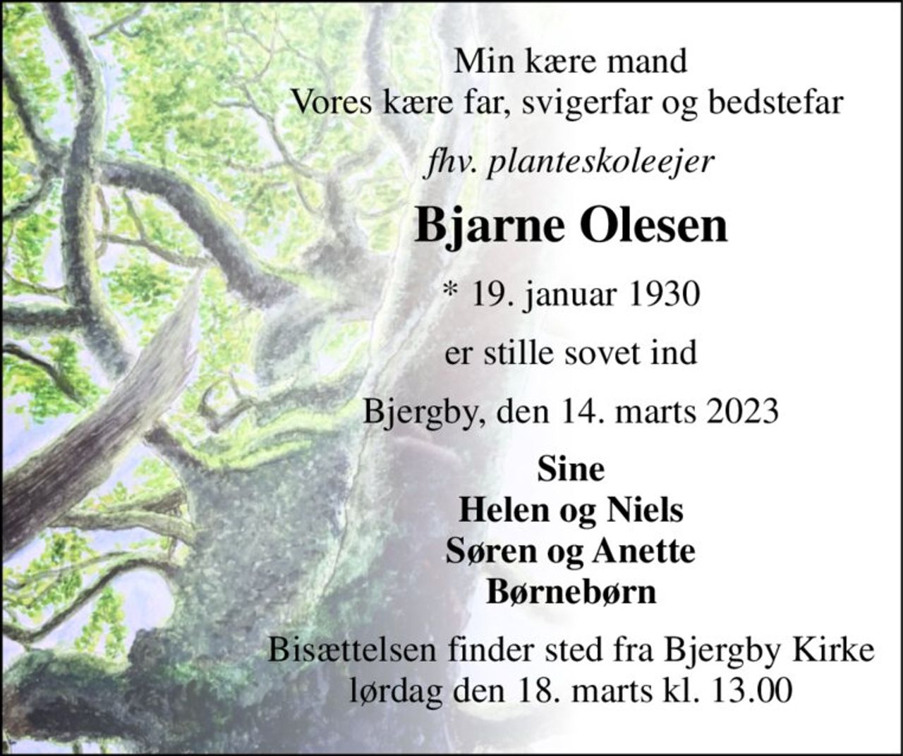 Min kære mand Vores kære far, svigerfar og bedstefar  
fhv. planteskoleejer 
Bjarne Olesen 
*​ 19. januar 1930 
er stille sovet ind 
Bjergby, den 14. marts 2023 
Sine Helen og Niels Søren og Anette Børnebørn 
Bisættelsen​ finder sted fra Bjergby Kirke​ lørdag den 18. marts​ kl. 13.00