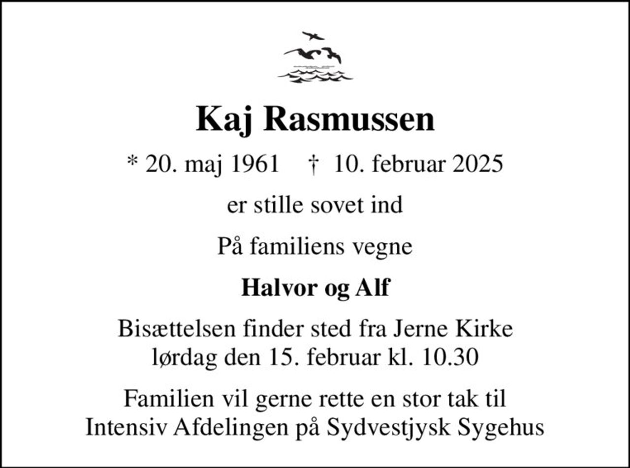 Kaj Rasmussen
* 20. maj 1961    ✝ 10. februar 2025
er stille sovet ind
På familiens vegne
Halvor og Alf
Bisættelsen har fundet sted
Familien vil gerne rette en stor tak til Intensiv Afdelingen på Sydvestjysk Sygehus