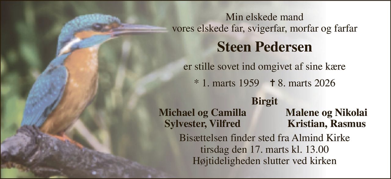 Min elskede mand vores elskede far, svigerfar, morfar og farfar 
Steen Pedersen 
er stille sovet ind omgivet af sine kære 
*​ 1. marts 1959​    ✝​ 8. marts 2026 
Birgit 
Michael og Camilla 
Malene og Nikolai 
Sylvester, Vilfred 
Kristian, Rasmus 
Bisættelsen​ finder sted fra Almind Kirke​ tirsdag den 17. marts​ kl. 13.00 Højtideligheden slutter ved kirken