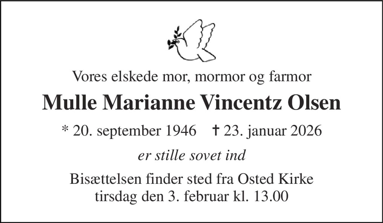 Vores elskede mor, mormor og farmor 
Mulle Marianne Vincentz Olsen 
*​ 20. september 1946​    ✝​ 23. januar 2026 
er stille sovet ind 
Bisættelsen​ finder sted fra Osted Kirke​ tirsdag den 3. februar​ kl. 13.00