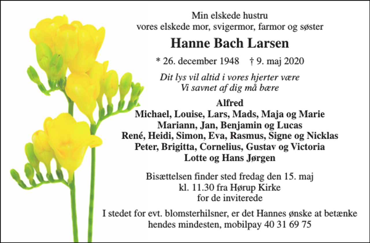 <p>Min elskede hustru vores elskede mor, svigermor, farmor og søster<br />Hanne Bach Larsen<br />*​ 26. december 1948​ †​ 9. maj 2020<br />Dit lys vil altid i vores hjerter være Vi savnet af dig må bære<br />Alfred Michael, Louise, Lars, Mads, Maja og Marie Mariann, Jan, Benjamin og Lucas René, Heidi, Simon, Eva, Rasmus, Signe og Nicklas Peter, Brigitta, Cornelius, Gustav og Victoria Lotte og Hans Jørgen<br />Bisættelsen​ finder sted fredag den 15. maj​ kl. 11.30 fra Hørup Kirke for de inviterede<br />I stedet for evt. blomsterhilsner, er det Hannes ønske at betænke hendes mindesten, mobilpay 40 31 69 75</p>