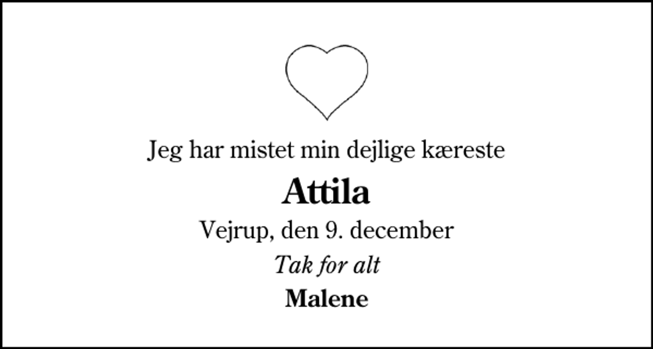 <p>Jeg har mistet min dejlige kæreste<br />Attila<br />Vejrup, den 9. december<br />Tak for alt<br />Malene</p>