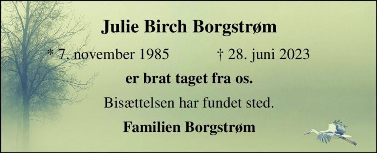 Julie Birch Borgstrøm​ 
* 7. november 1985 
† 28. juni 2023 
er brat taget fra os. 
Bisættelsen​ har fundet sted. 
Familien Borgstrøm