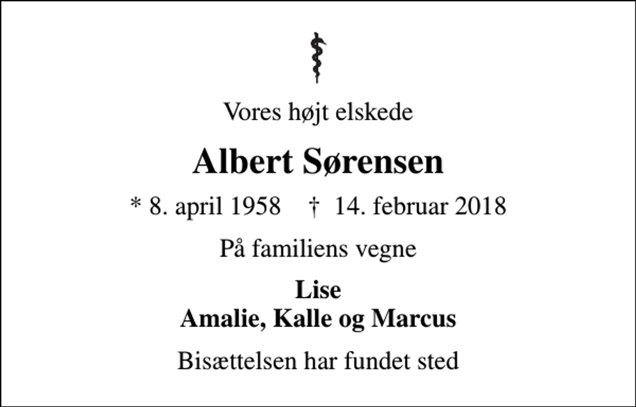 <p>Vores højt elskede<br />Albert Sørensen<br />* 8. april 1958 ✝ 14. februar 2018<br />På familiens vegne<br />Lise Amalie, Kalle og Marcus<br />Bisættelsen har fundet sted</p>
