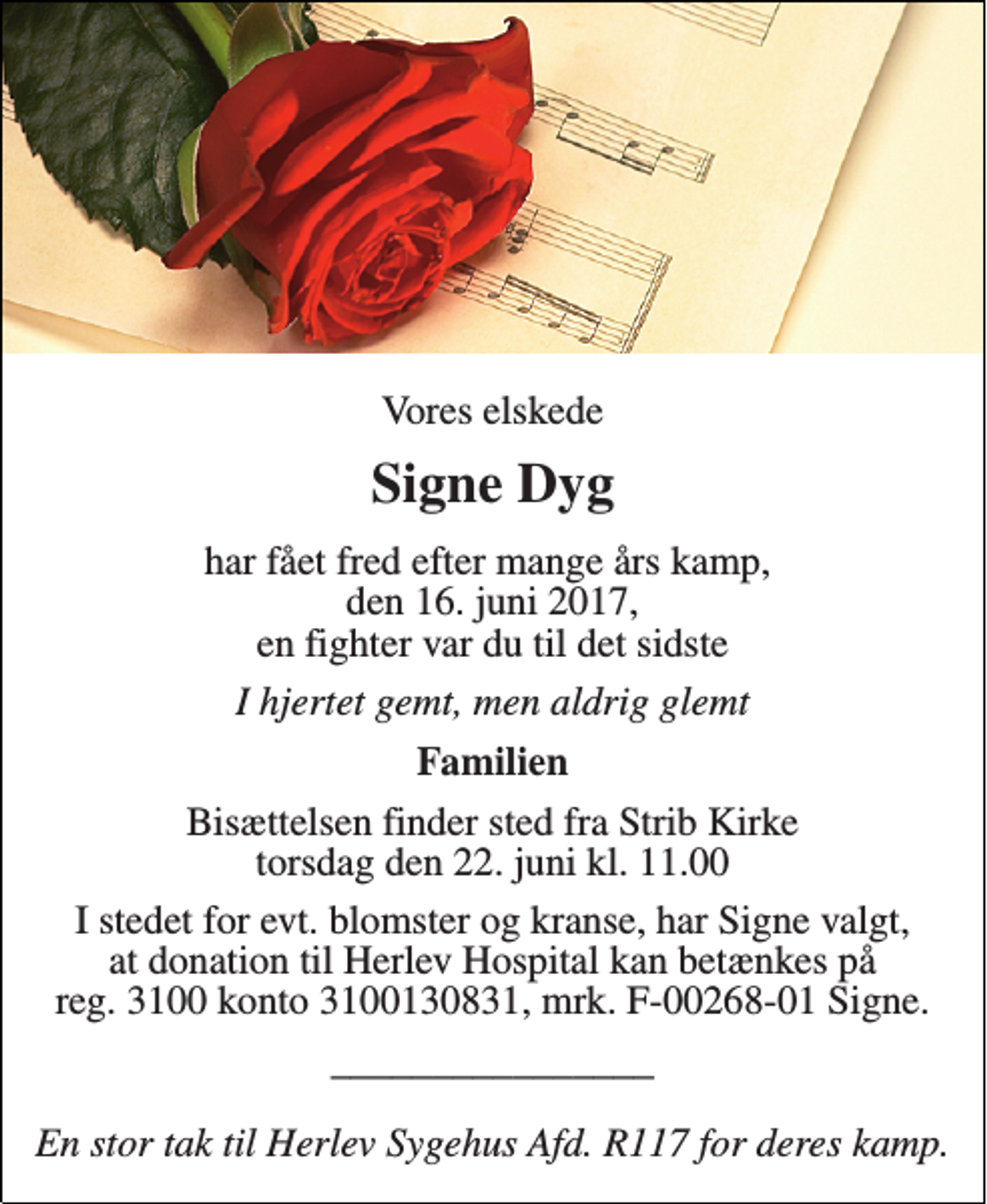 <p>Vores elskede<br />Signe Dyg<br />har fået fred efter mange års kamp, den 16. juni 2017, en fighter var du til det sidste<br />I hjertet gemt, men aldrig glemt<br />Familien<br />Bisættelsen finder sted fra Strib Kirke torsdag den 22. juni kl. 11.00<br />I stedet for evt. blomster og kranse, har Signe valgt, at donation til Herlev Hospital kan betænkes på reg. 3100 konto 3100130831, mrk. F-00268-01 Signe.<br />________________ En stor tak til Herlev Sygehus Afd. R117 for deres kamp.</p>