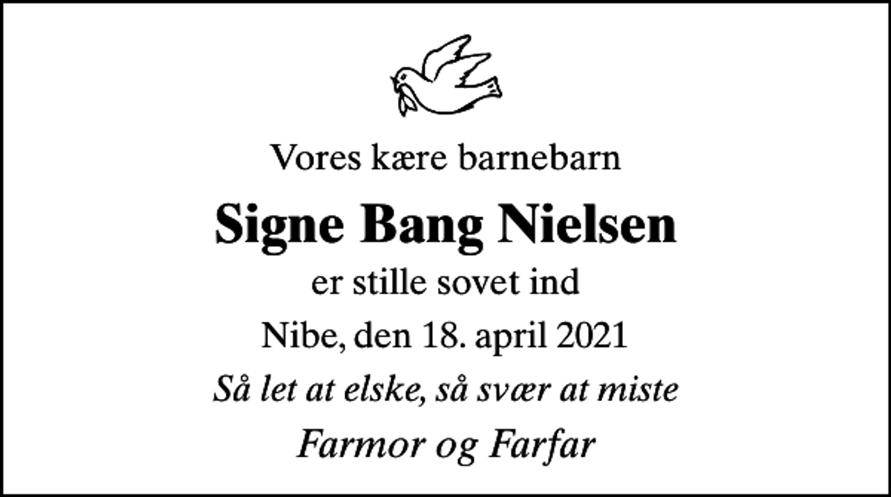 <p>Vores kære barnebarn<br />Signe Bang Nielsen<br />er stille sovet ind<br />Nibe, den 18. april 2021<br />Så let at elske, så svær at miste<br />Farmor og Farfar</p>