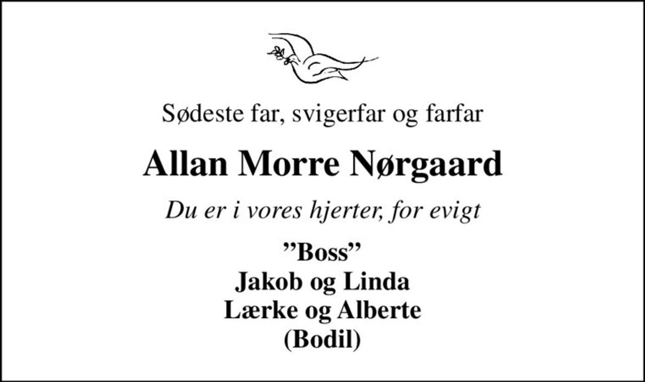 Sødeste far, svigerfar og farfar
Allan Morre Nørgaard
Du er i vores hjerter, for evigt
Boss Jakob og Linda Lærke og Alberte (Bodil)