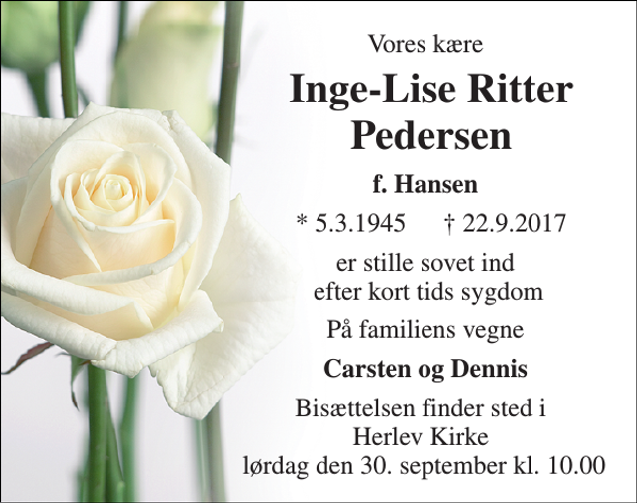 <p>Vores kære<br />Inge-Lise Ritter Pedersen<br />f. Hansen<br />* 5.3.1945<br />† 22.9.2017<br />er stille sovet ind efter kort tids sygdom<br />På familiens vegne<br />Carsten og Dennis<br />Bisættelsen finder sted i Herlev Kirke lørdag den 30. september kl. 10.00</p>