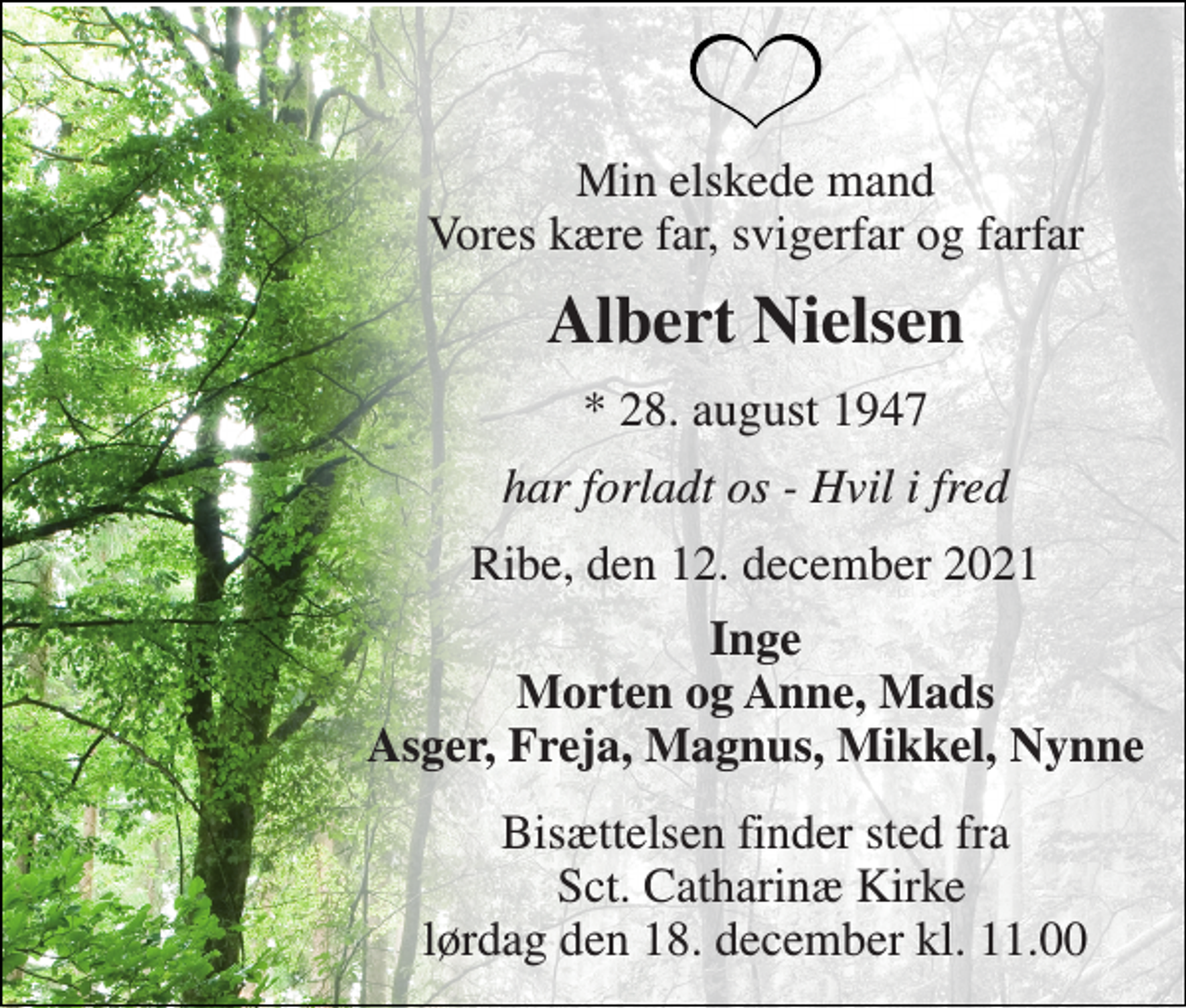 <p>Min elskede mand Vores kære far, svigerfar og farfar<br />Albert Nielsen<br />*​ 28. august 1947<br />har forladt os - Hvil i fred<br />Ribe, den 12. december 2021<br />Inge Morten og Anne, Mads Asger, Freja, Magnus, Mikkel, Nynne<br />Bisættelsen​ finder sted fra Sct. Catharinæ Kirke​ lørdag den 18. december​ kl. 11.00</p>