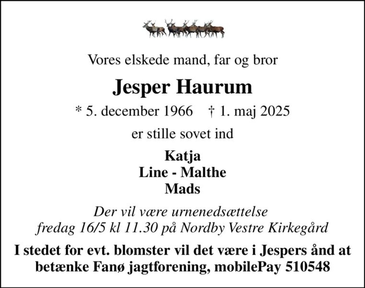 Vores elskede mand, far og bror
Jesper Haurum
* 5. december 1966    ✝ 1. maj 2025
er stille sovet ind
Katja Line - Malthe Mads
Der vil være urnenedsættelse  fredag 16/5 kl 11.30 på Nordby Vestre Kirkegård
I stedet for evt. blomster vil det være i Jespers ånd at betænke Fanø jagtforening, mobilePay 510548