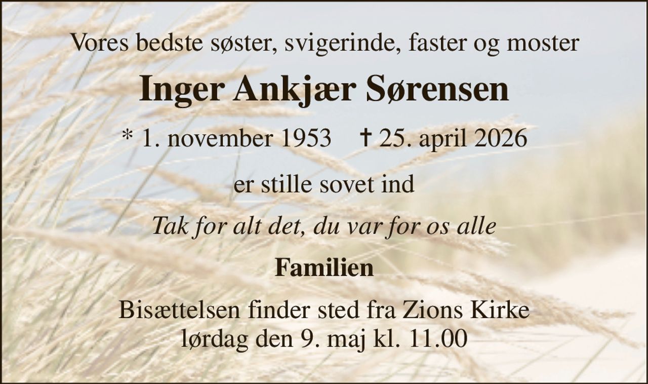 Vores bedste søster, svigerinde, faster og moster 
Inger Ankjær Sørensen 
* 1. november 1953    ✝ 25. april 2026 
er stille sovet ind 
Tak for alt det, du var for os alle 
Familien 
Bisættelsen finder sted fra Zions Kirke lørdag den 9. maj kl. 11.00