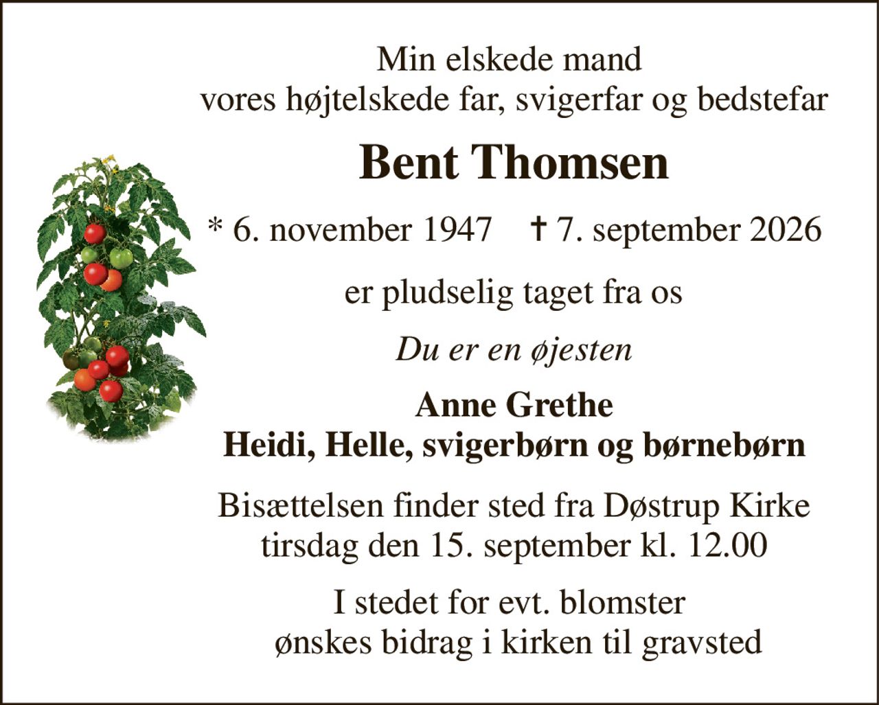 Min elskede mand  vores højtelskede far, svigerfar og bedstefar 
Bent Thomsen 
*​ 6. november 1947​    ✝​ 7. september 2026 
er pludselig taget fra os 
Du er en øjesten 
Anne Grethe Heidi, Helle, svigerbørn og børnebørn 
Bisættelsen​ finder sted fra Døstrup Kirke​ tirsdag den 15. september​ kl. 12.00 
I stedet for evt. blomster   ønskes bidrag i kirken til gravsted