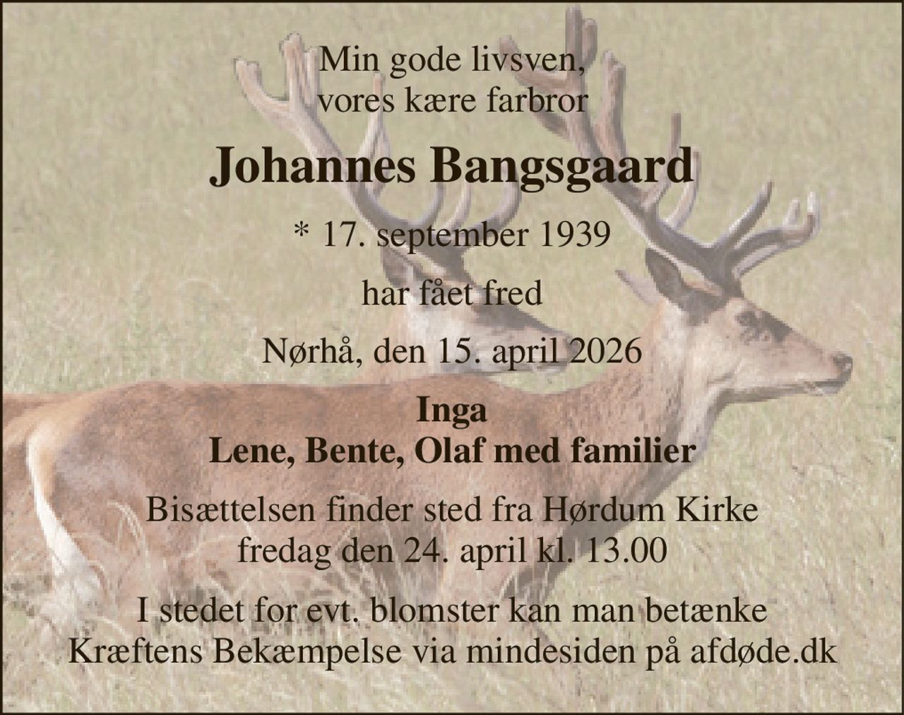 Min gode livsven, vores kære farbror 
Johannes Bangsgaard 
* 17. september 1939 
har fået fred 
Nørhå, den 15. april 2026 
Inga Lene, Bente, Olaf med familier 
Bisættelsen finder sted fra Hørdum Kirke fredag den 24. april kl. 13.00 
I stedet for evt. blomster kan man betænke Kræftens Bekæmpelse via mindesiden på afdøde.dk