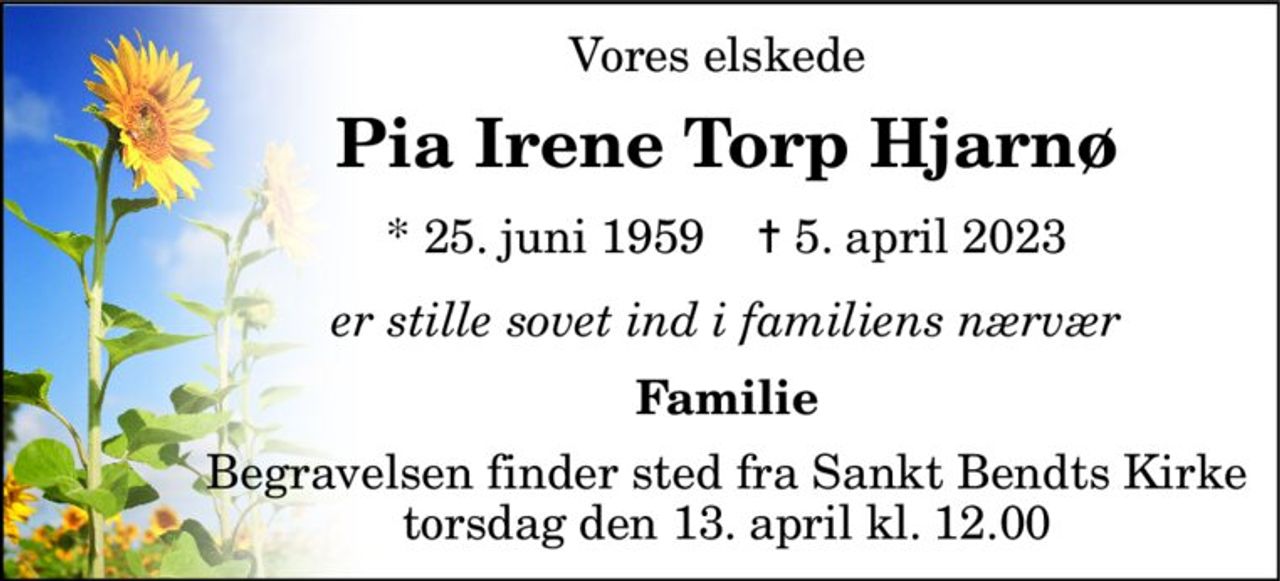 Vores elskede 
Pia Irene Torp Hjarnø 
*​ 25. juni 1959​    ✝​ 5. april 2023 
er stille sovet ind i familiens nærvær 
Familie 
Begravelsen​ finder sted fra Sankt Bendts Kirke​ torsdag den 13. april​ kl. 12.00