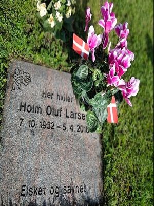 Image chosen by user