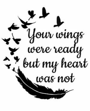 Image chosen by user