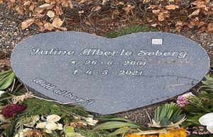 Image chosen by user