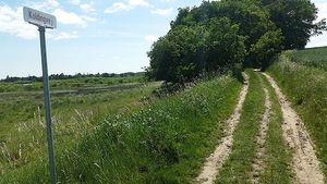 Image chosen by user