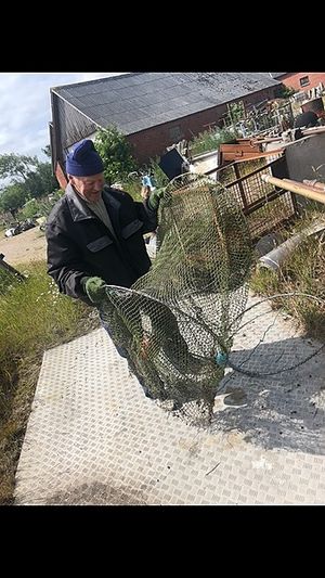 Image chosen by user