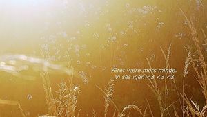 Image chosen by user