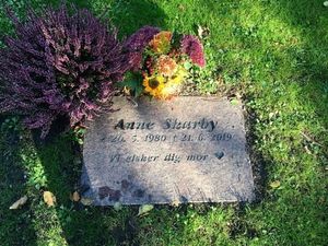 Image chosen by user