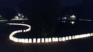 Image chosen by user