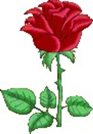 Image chosen by user