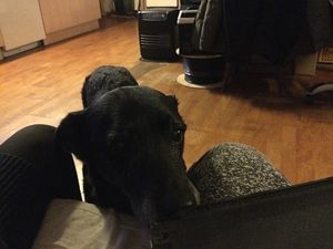 Image chosen by user