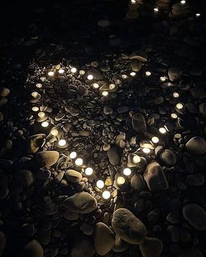 Image chosen by user