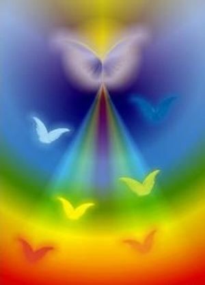 Image chosen by user