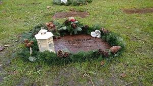 Image chosen by user