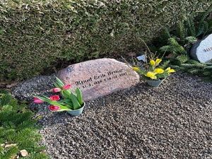 Image chosen by user