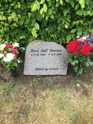 Image chosen by user