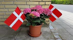 Image chosen by user