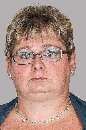 Image chosen by user