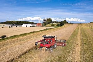 Image chosen by user