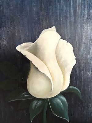 Image chosen by user