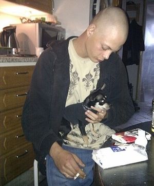 Image chosen by user