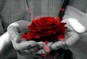 Image chosen by user