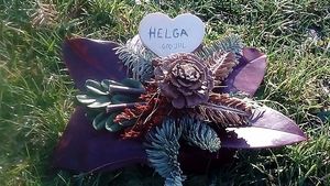 Image chosen by user